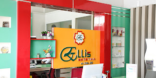 ELLIS ESTETIKA SUMMARECON