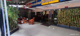 House of Arsonia Orchid