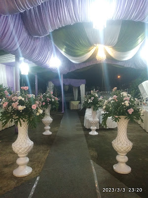 Marissa Wedding Planner